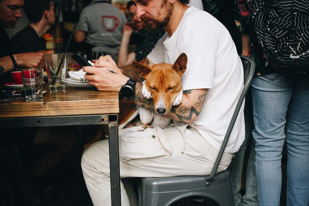 man on phone at cafe, with small dog in his lap.