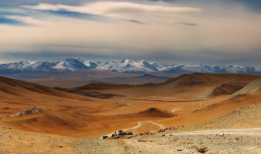 landscape of Mongolia.