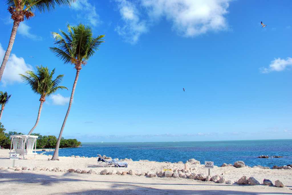 beach in Islamorada