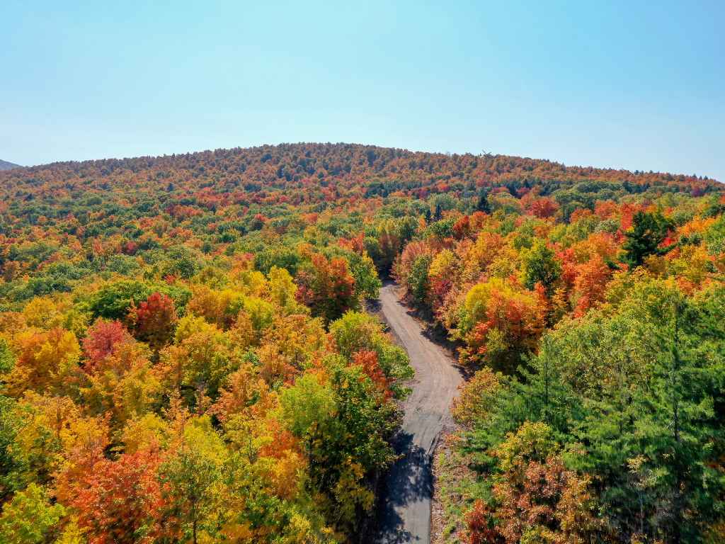 Catskills from above.