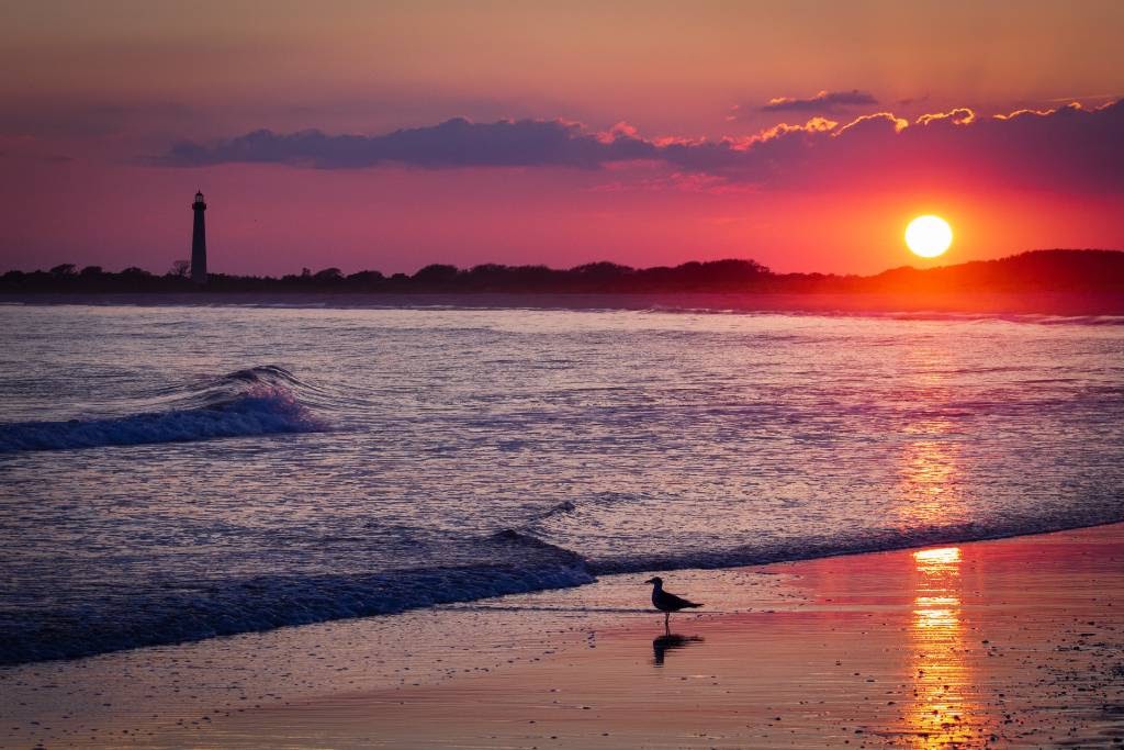 Cape May.
