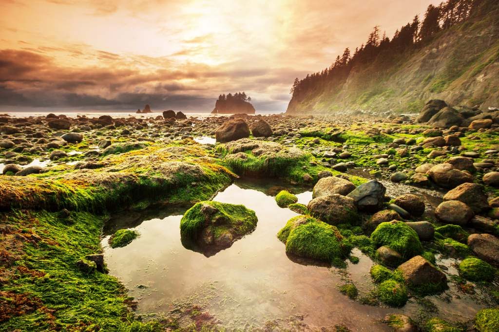 Olympic National Park.