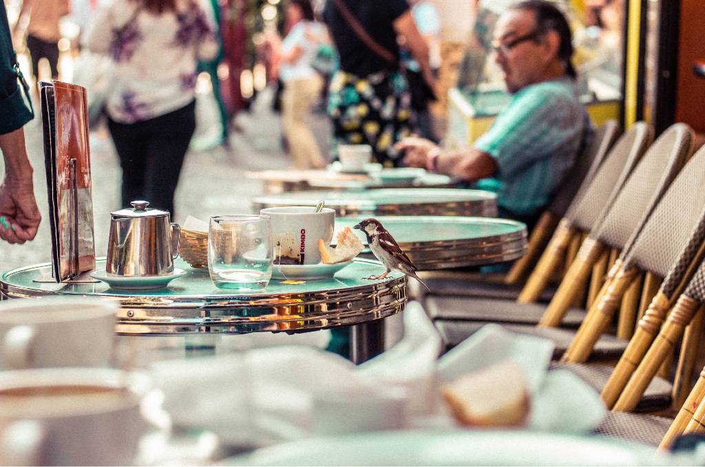 cafe in Paris.