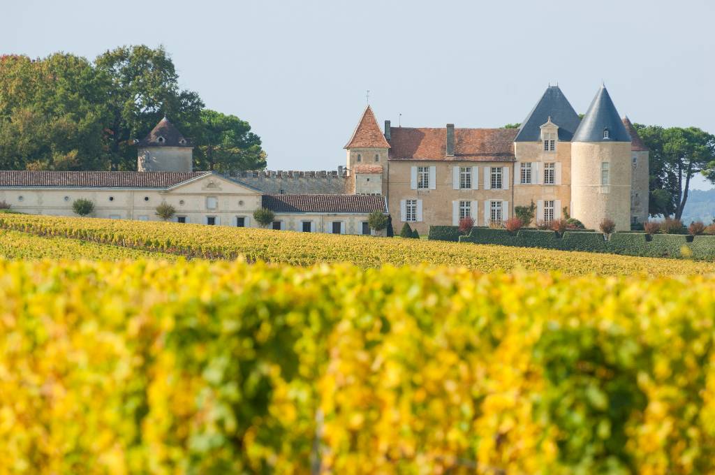 vineyard in Bordeaux.