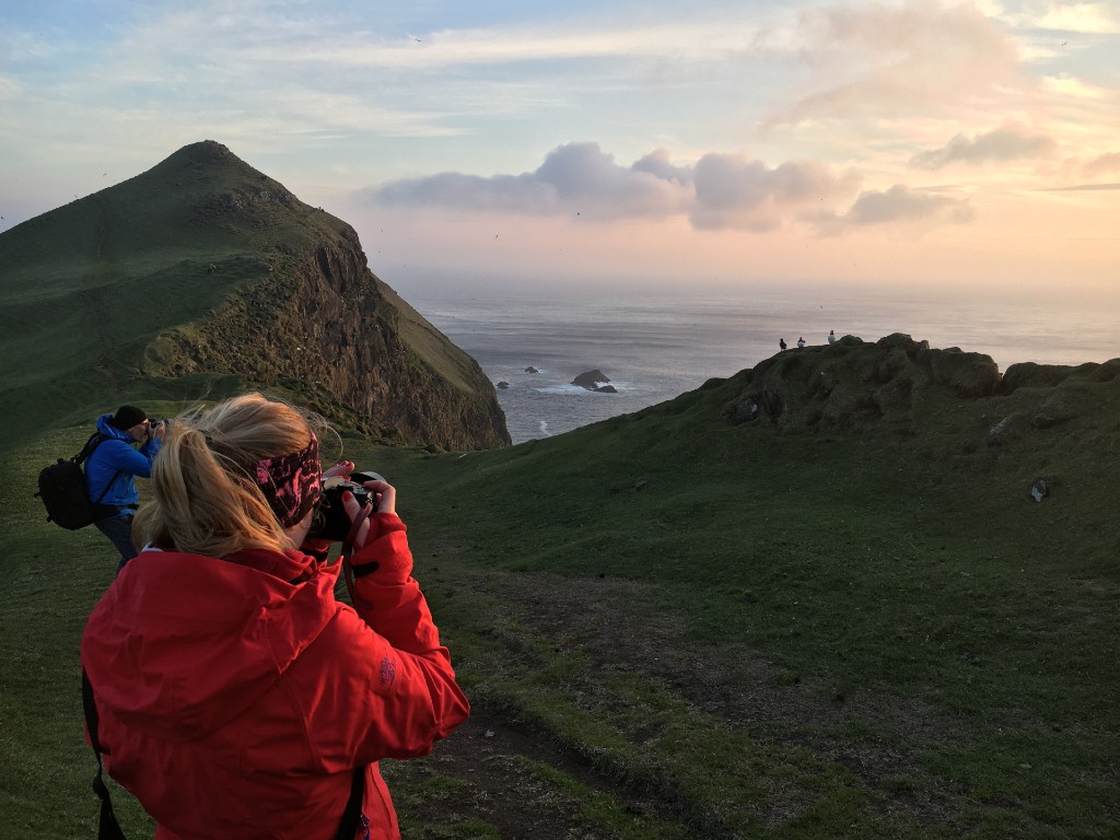 tourists photographing puffins.