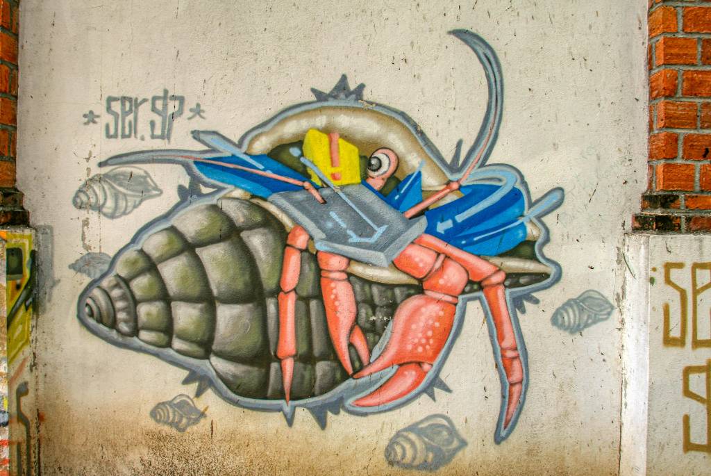 street art in Puerto Vallarta.