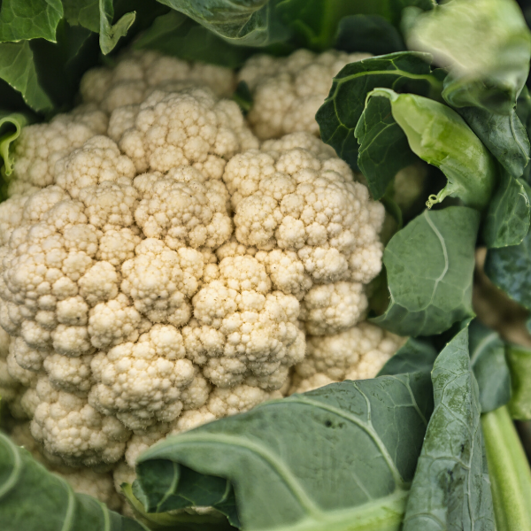 Cauliflower per head The Brand Family