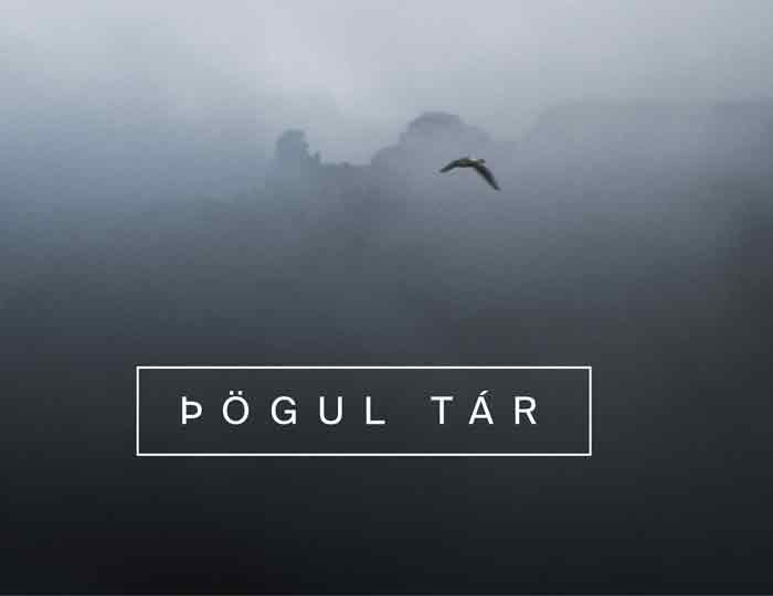 Þögul tár