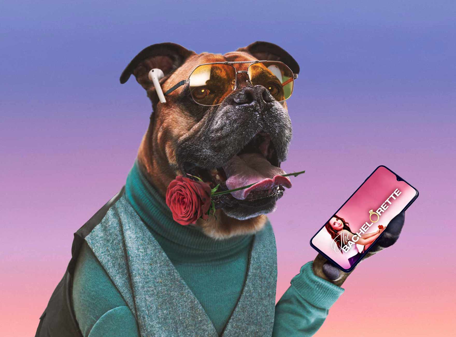 Svona á sjónvarp að vera!