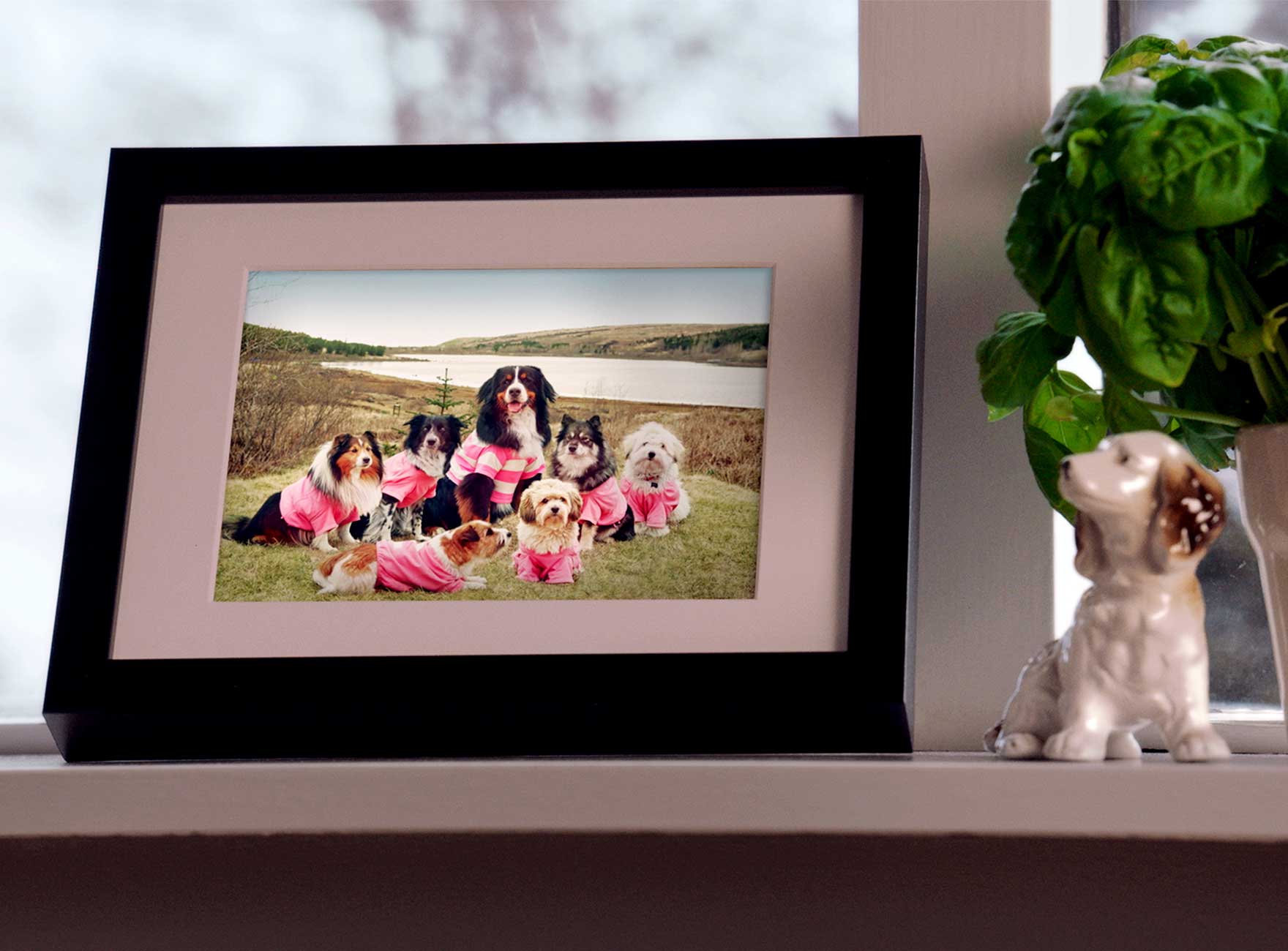 Farsími fyrir alla fjölskylduna