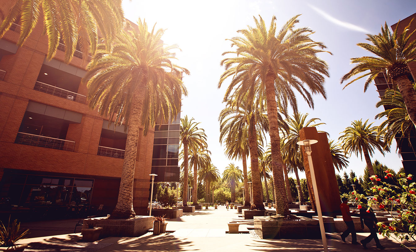palo alto