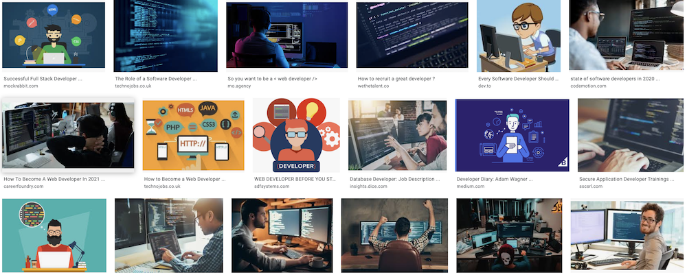 Image search results for developer