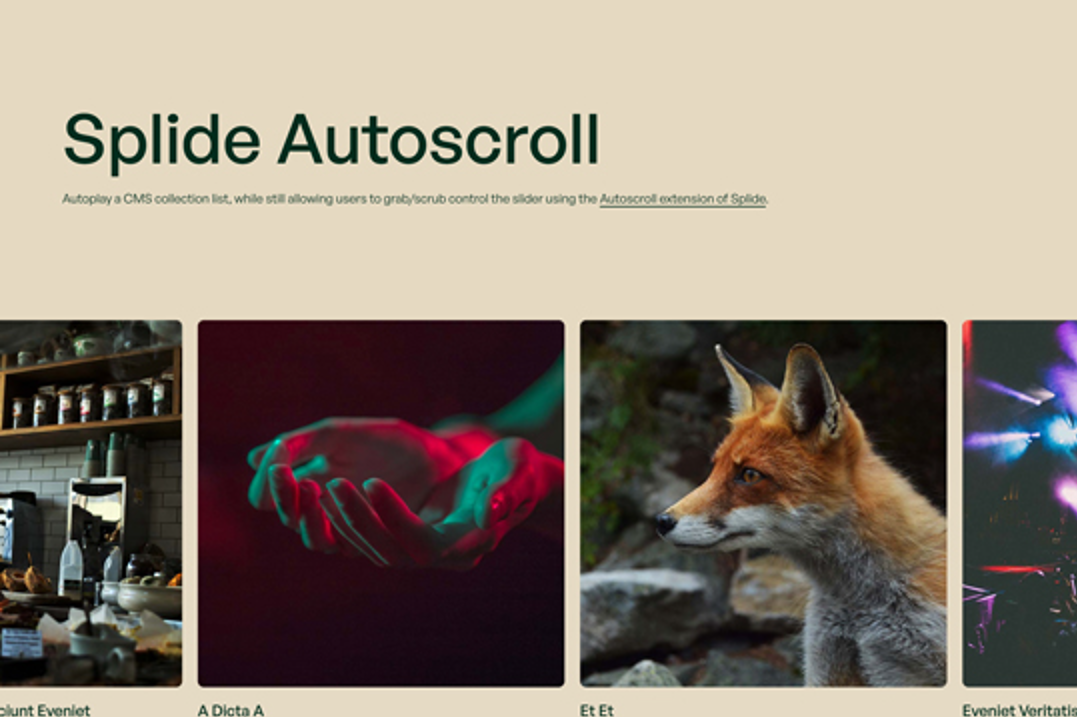 flow Showcased Autoplay + Swipe Control Marquee w/ Splide