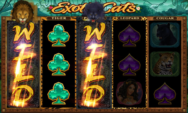 Exotic Cats slot Microgaming