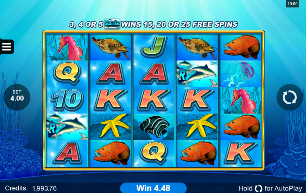 Dolphin Coast slot gameplay