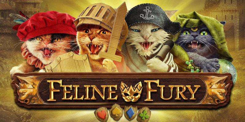 machine a sous Feline Fury