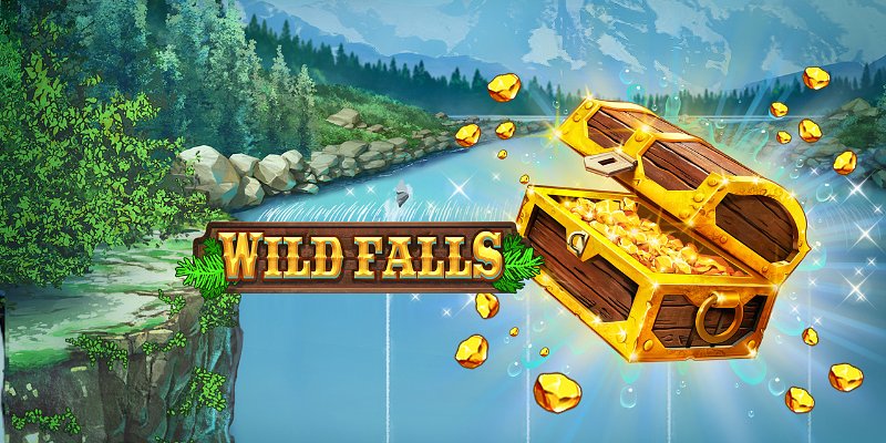 machine a sous Wild Falls
