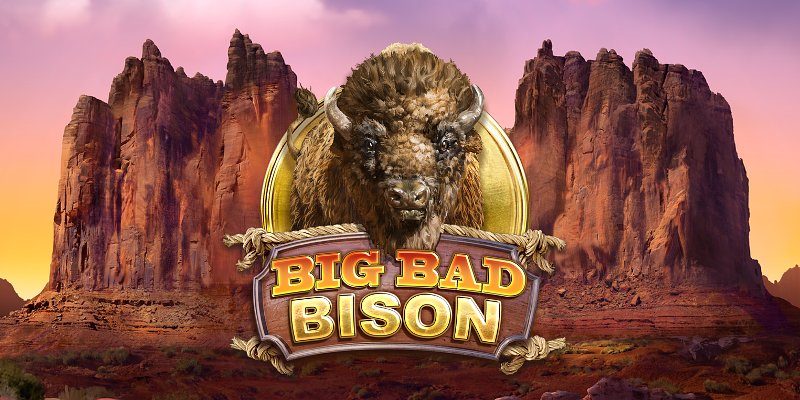 playbison casino