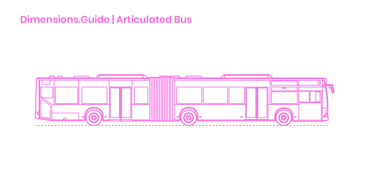 Articulated Buses Dimensions & Drawings
