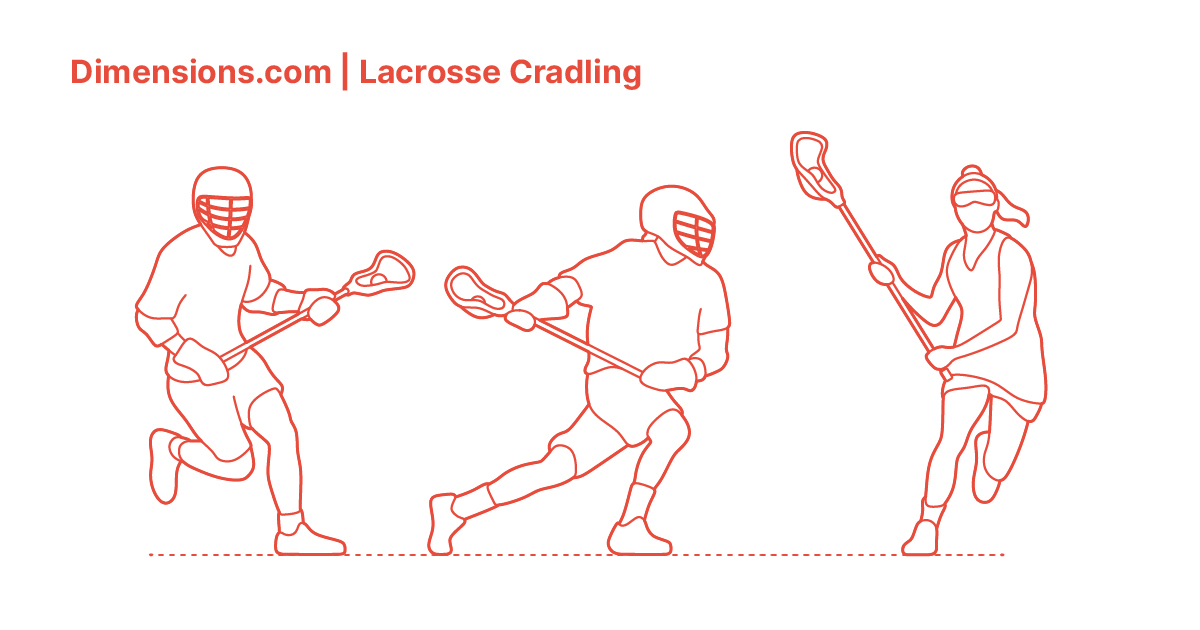 Lacrosse Cradling Dimensions & Drawings