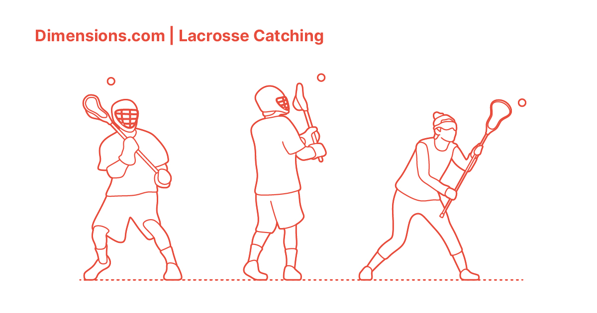 Lacrosse Catching Dimensions & Drawings