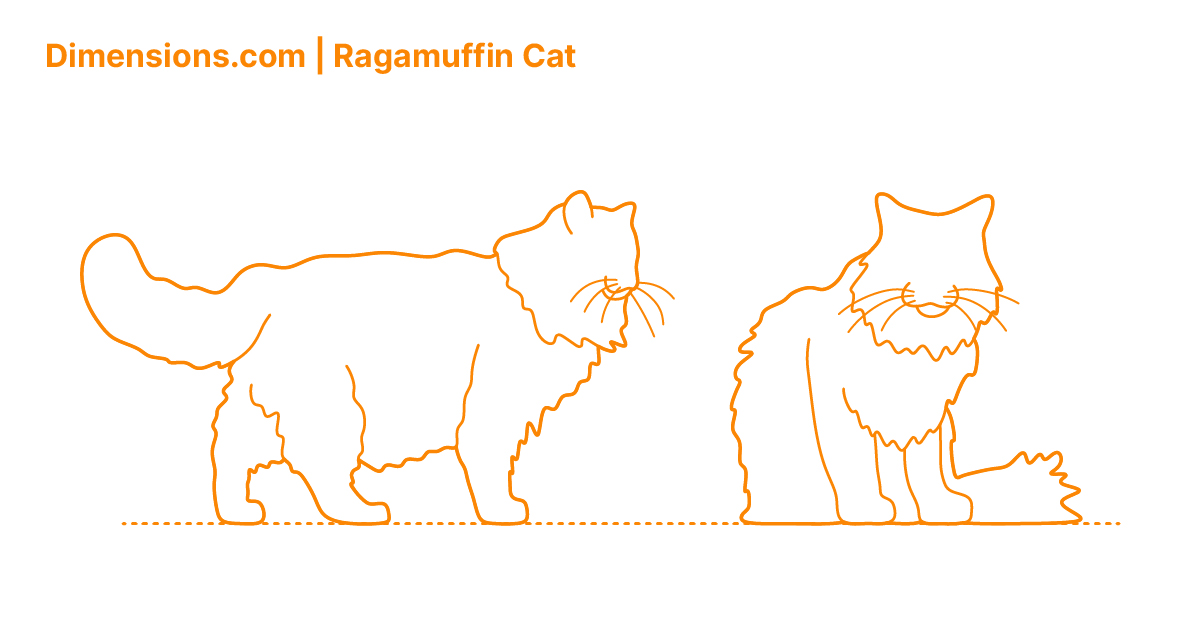 Ragamuffin Store Website
