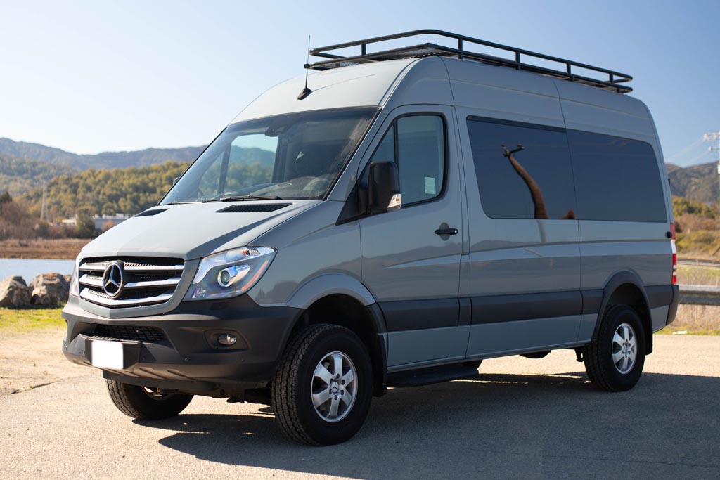 blue gray sprinter