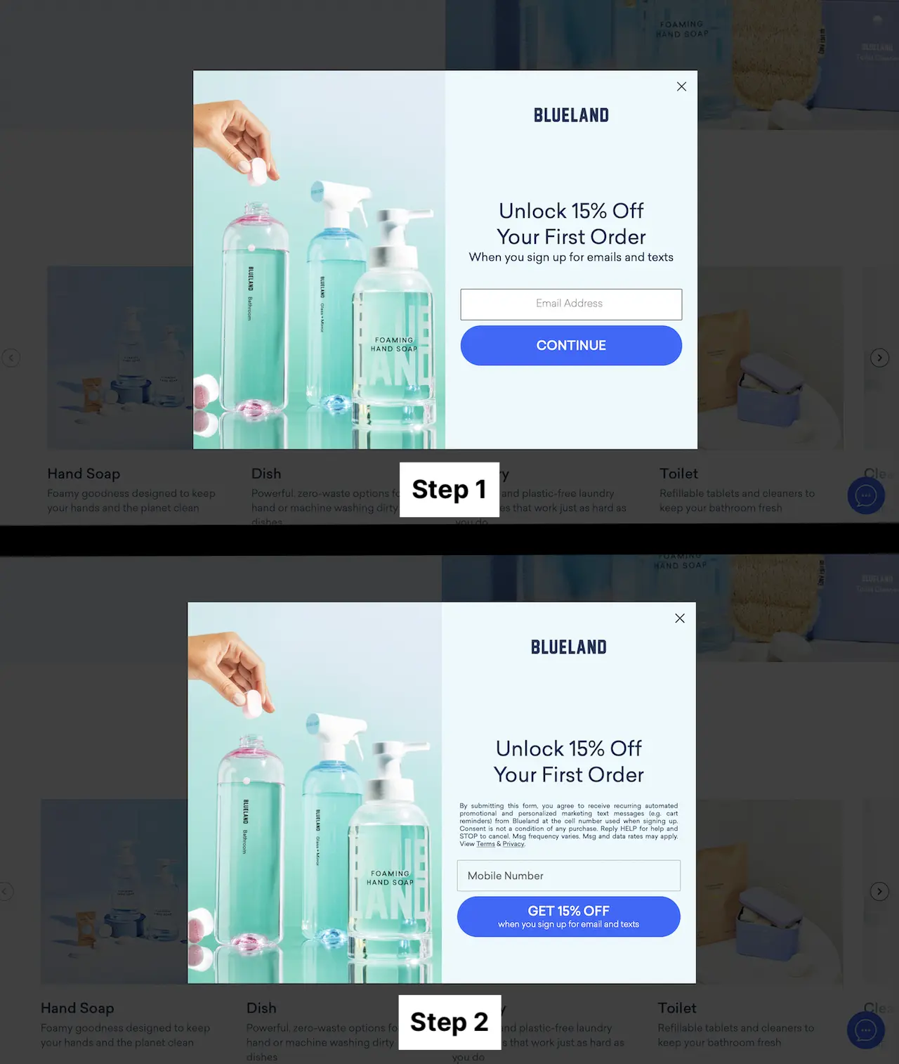 Blueland TwoStep Optin Form ConvertFlow