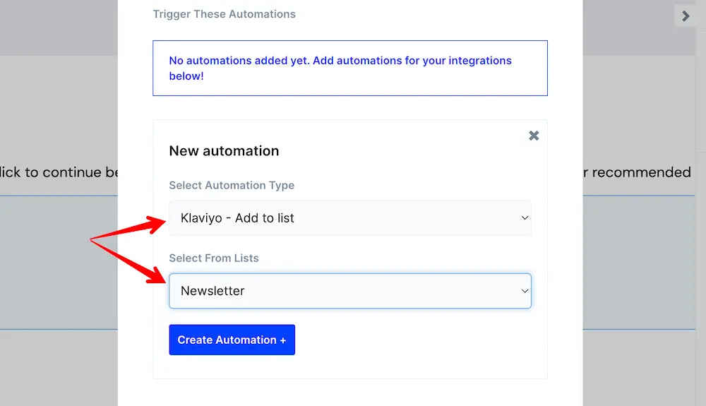 Automation form filled out to add a subscriber's info to a newsletter list in Klaviyo