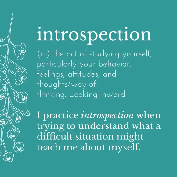 Definition of introspection