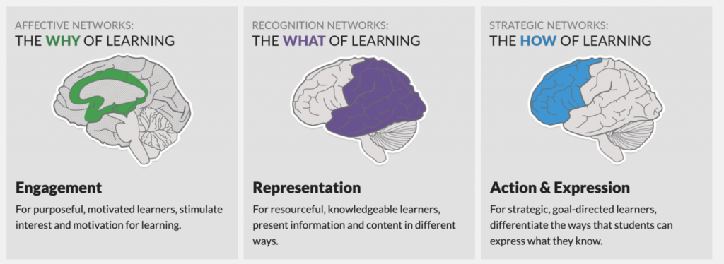 Understanding Universal Design for Learning (UDL)