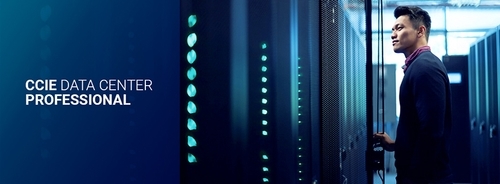 CCIE Data Center Professional Job Description JOBS Employment