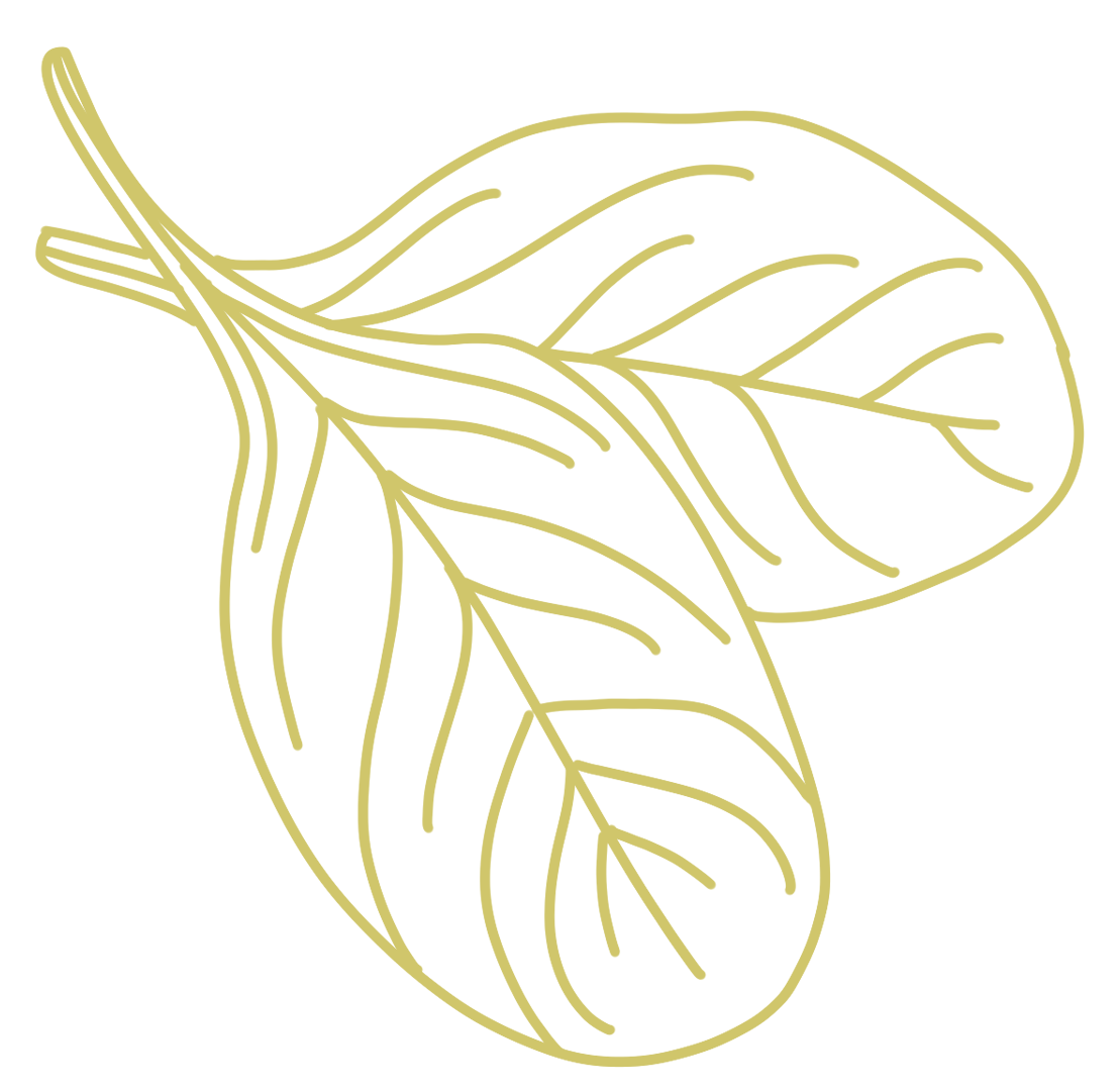 Delicious Food For Any Occasion Catering Menus