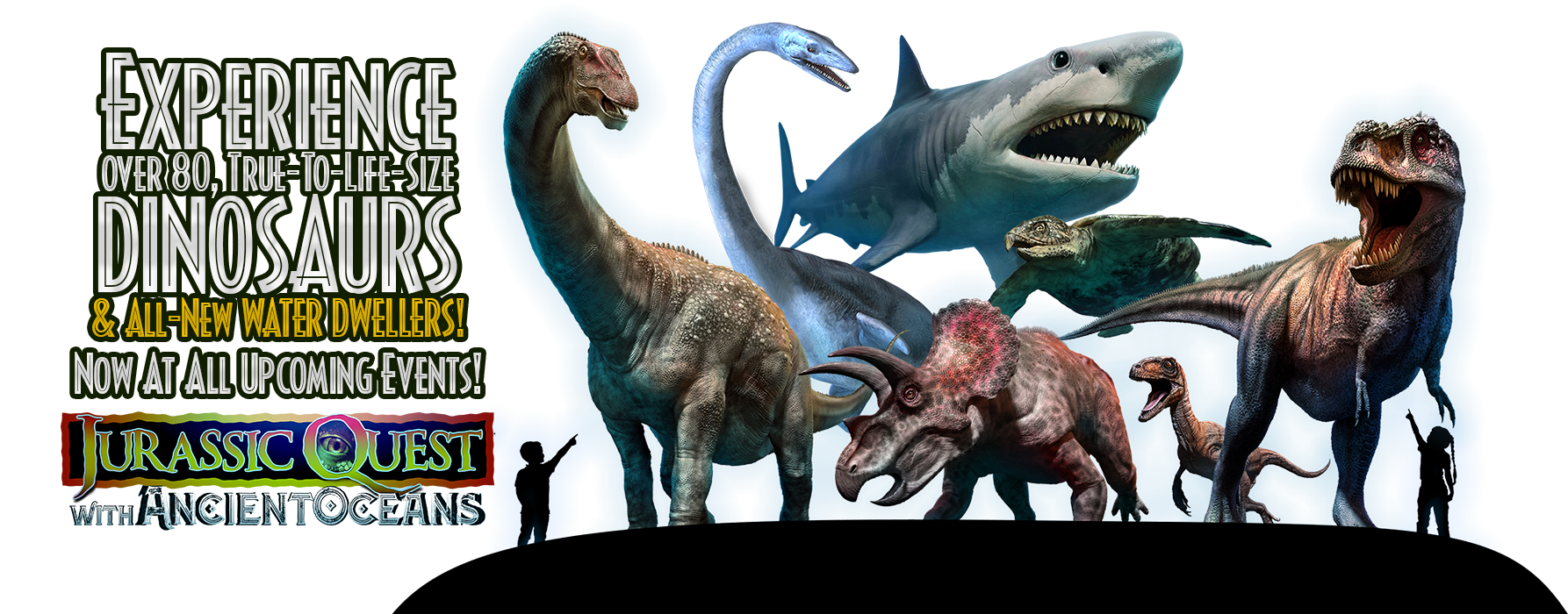 Ancient Oceans Image