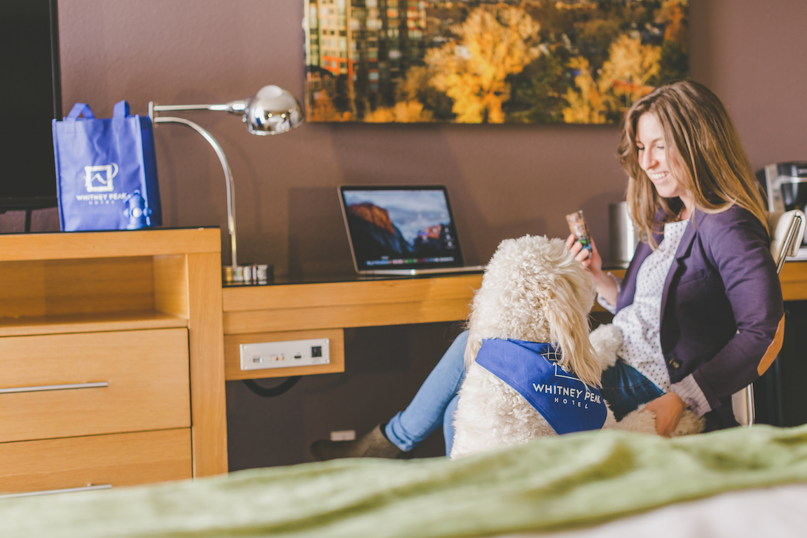 Pet Friendly Hotels Reno NV Pet Friendly Hotel Rooms Reno