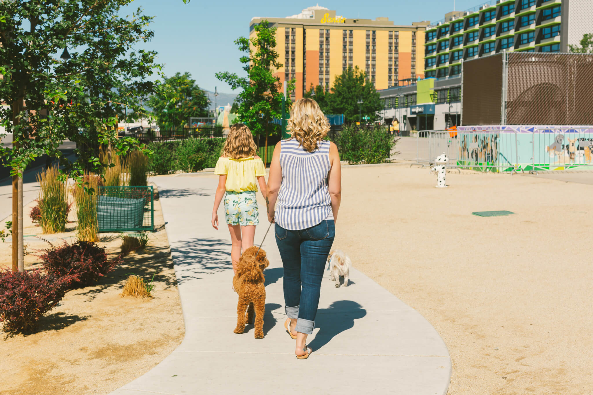 Pet Friendly Hotels Reno NV Pet Friendly Hotel Rooms Reno