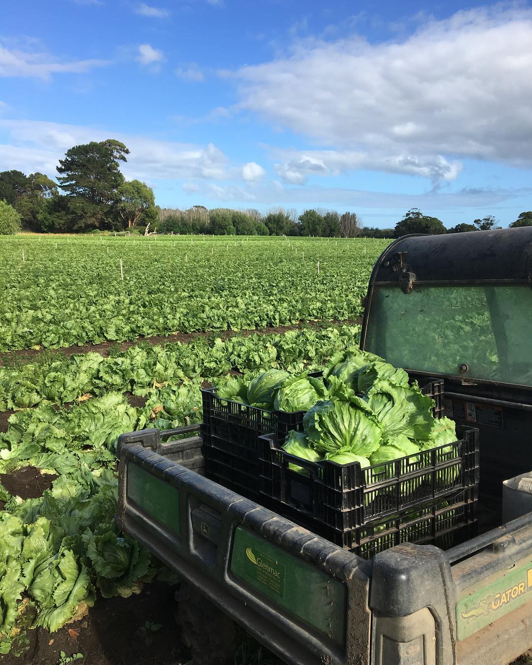 Hawkes Farm The Ninch Your Mornington Peninsula Guide