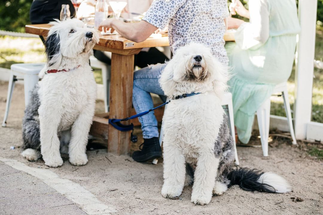 kid-friendly-the-ninch-your-mornington-peninsula-guide