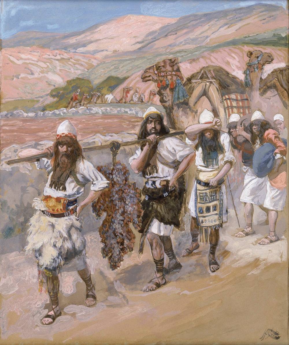 Using Deuteronomy to Fill in the Lacunae of Numbers’ Spies Story