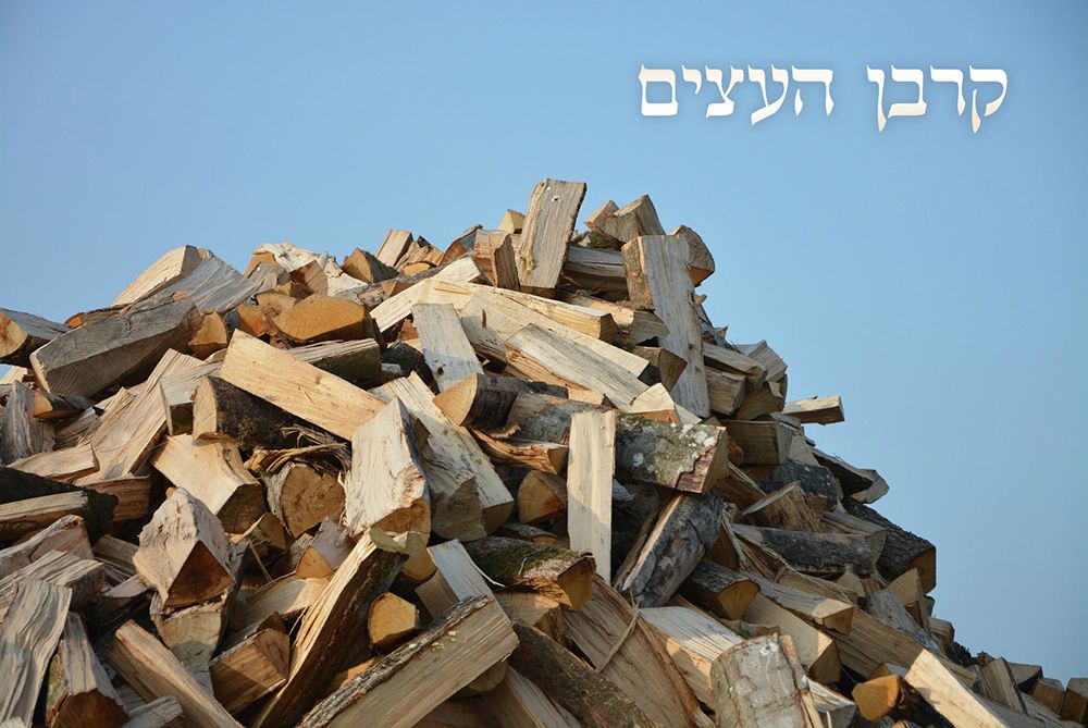 The Wood Offering Celebration – "As Written in the Torah"