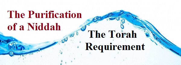 The Purification of a Niddah: The Torah Requirement