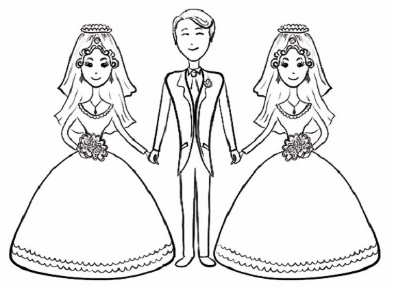 The Biblical Prohibition of Polygyny?