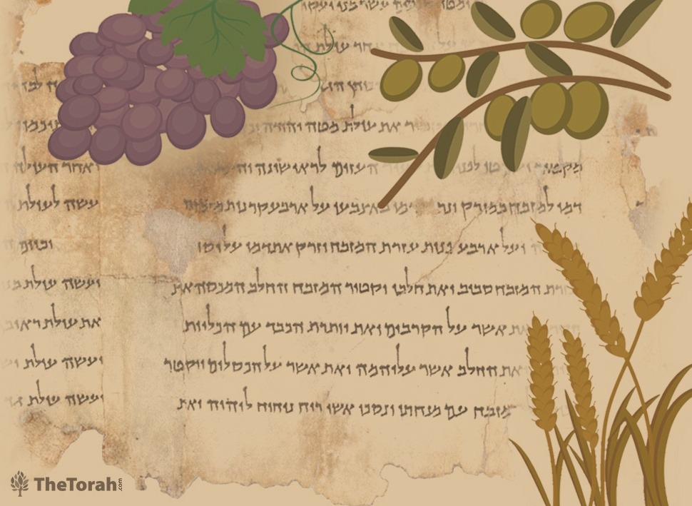 How the Temple Scroll Rewrote the Festival of Bikkurim