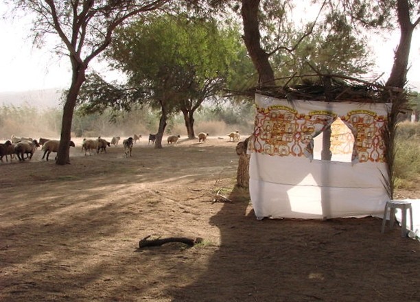 How and Why Sukkot Was Linked to the Exodus