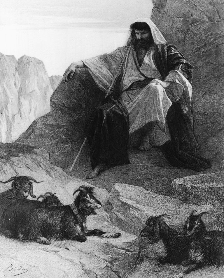 Reconstructing the Priestly Moses