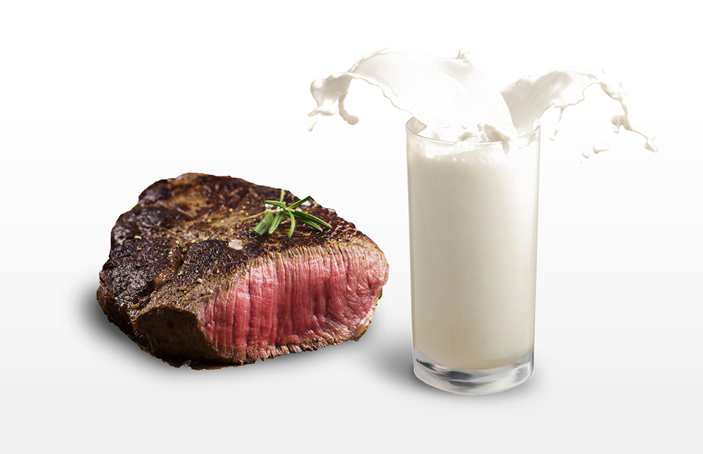 Prohibition of Meat and Milk: Its Origins in the Text