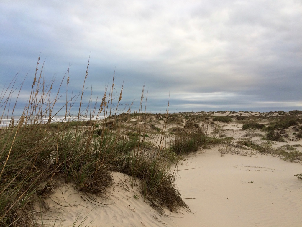 Coastal News Today | USA - A Crucial Barrier Against Hurricanes Is at Risk