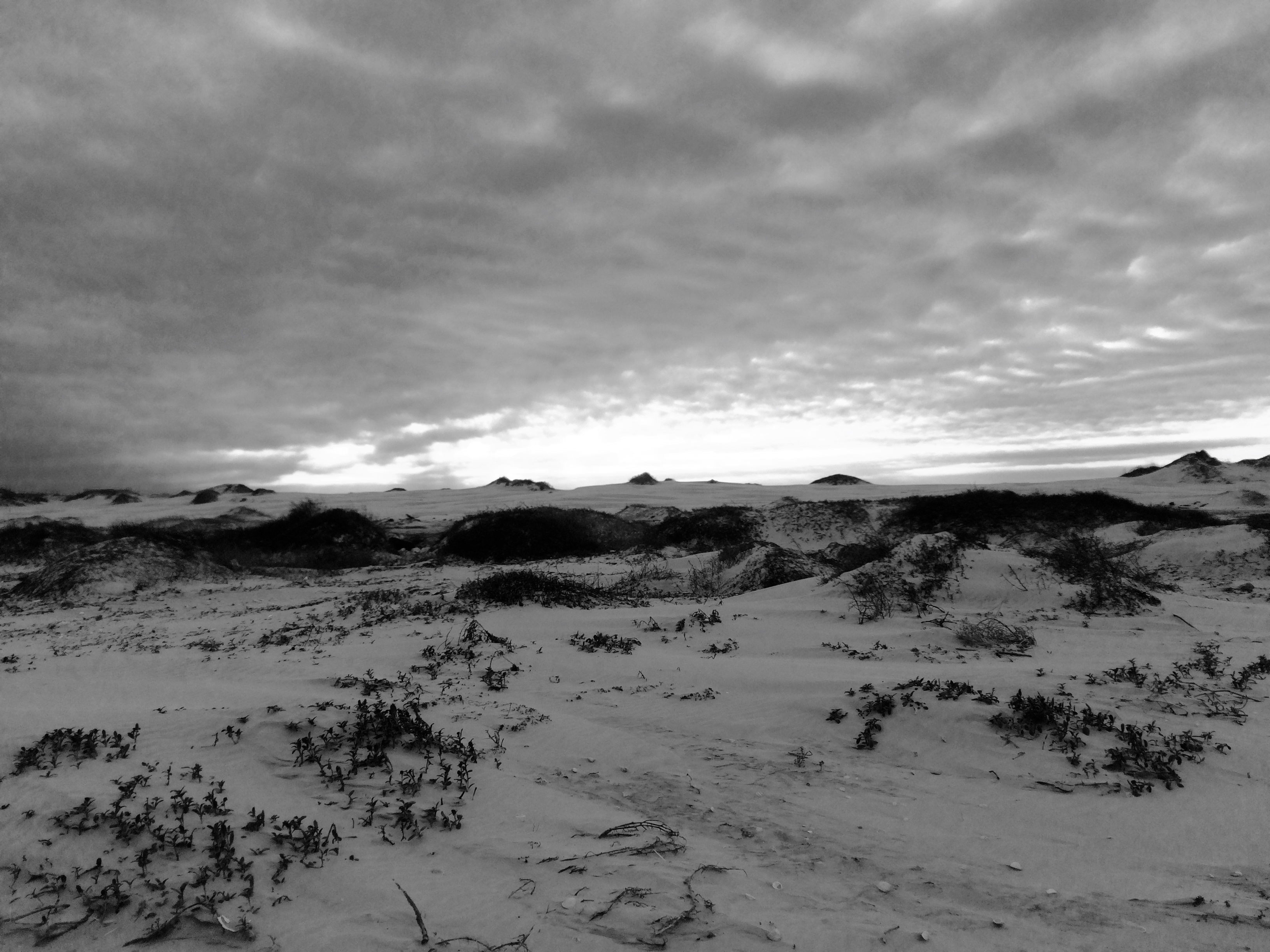 Coastal News Today | GOM - NOAA Awards $16.8 Million for Research in ...