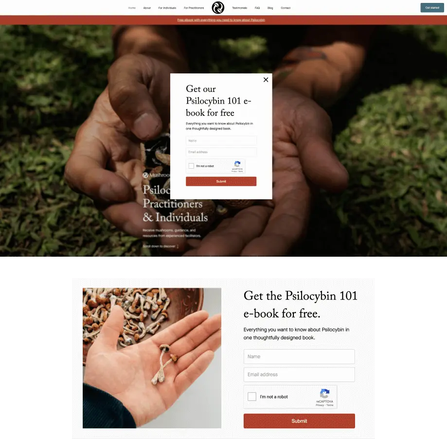 Screen shot of new leadcapture announcementbar, pop-up, and leadcapture section.