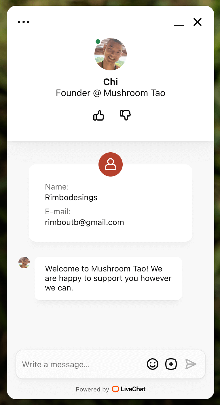 Screenshot of the LiveChat integration